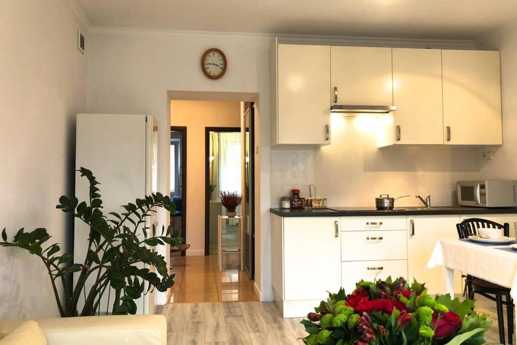 City Center- Large Apartment With National Musee View Варшава Экстерьер фото